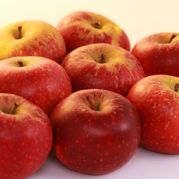 Ingrid Marie Apfel vom Obsthof Cordes