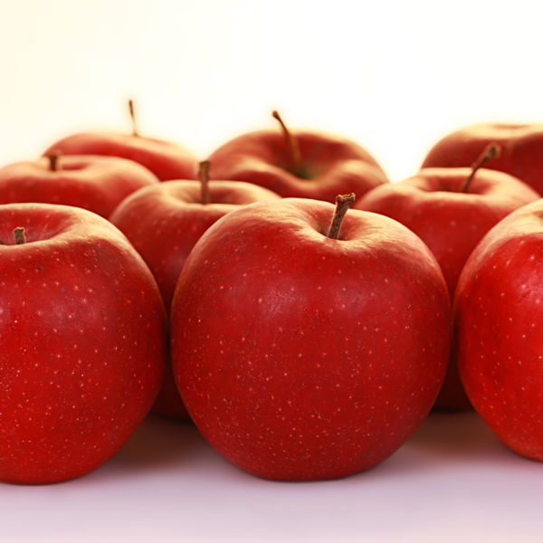 Maribelle Apfel vom Obsthof Cordes