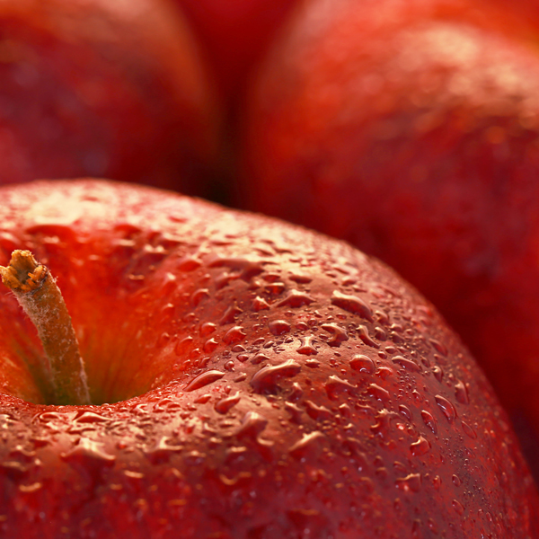 Royal Rouge Apfel vom Obsthof Cordes